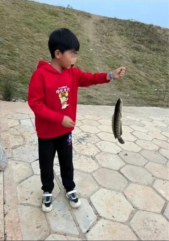 初中生摆摊攒钱自己买鱼竿:父母担心钓鱼影响学业,他主动提出自己挣钱